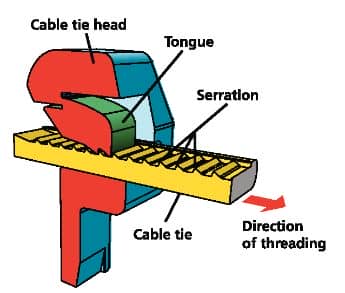 Cable ties with plastic pawls